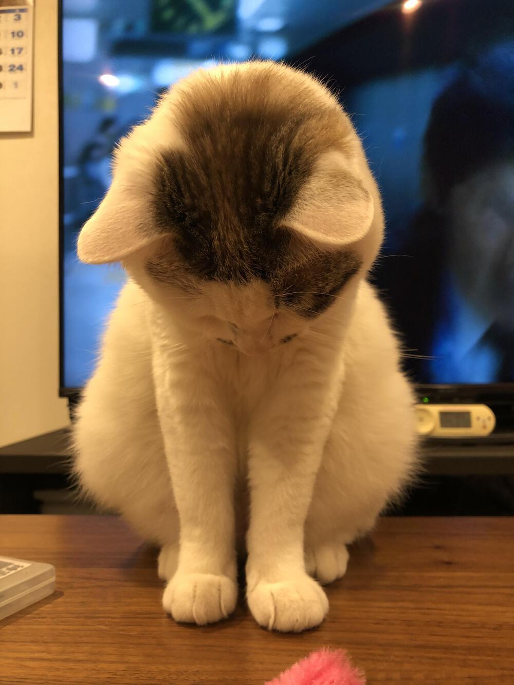 カバー画像