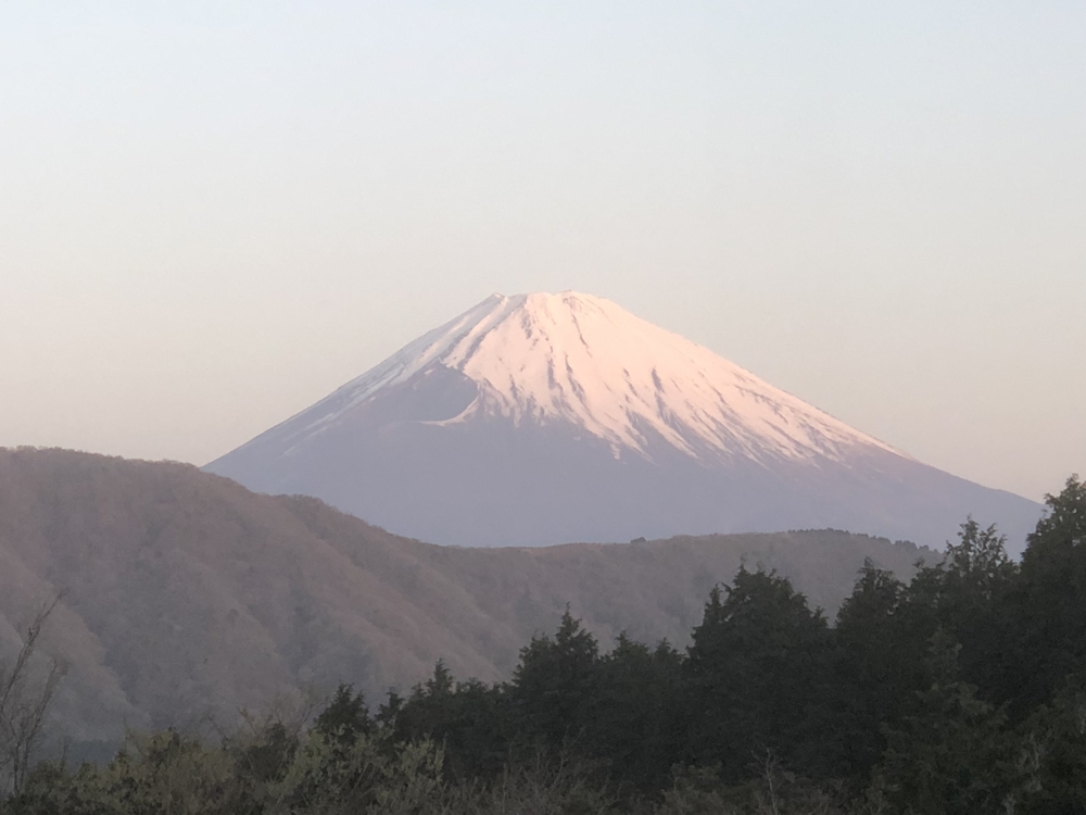 カバー画像