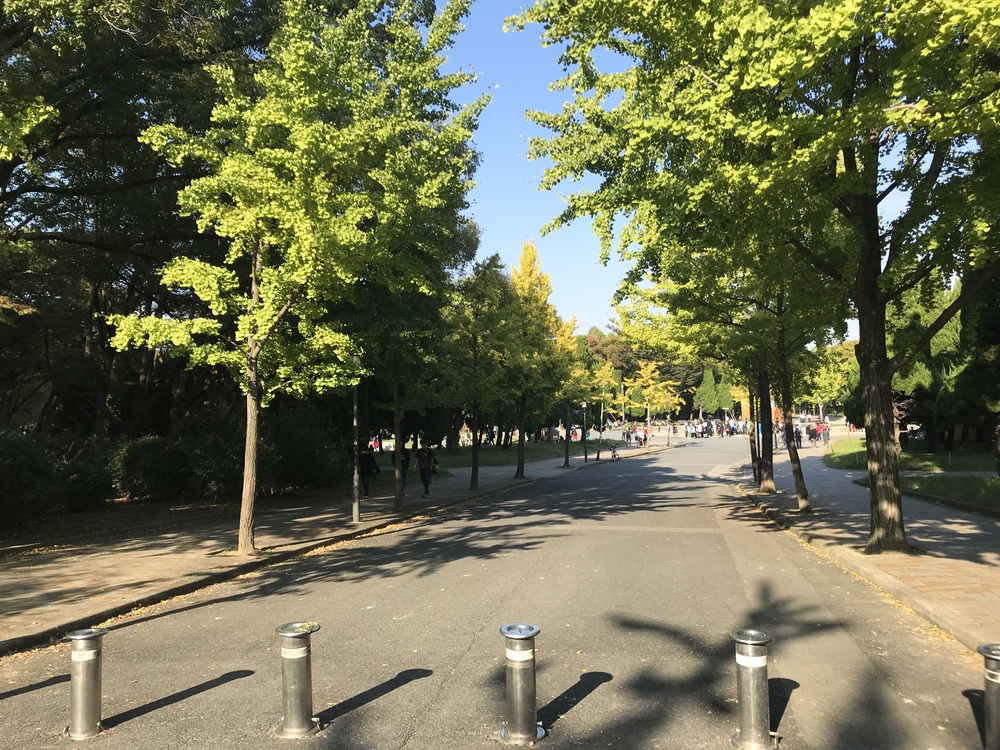 カバー画像