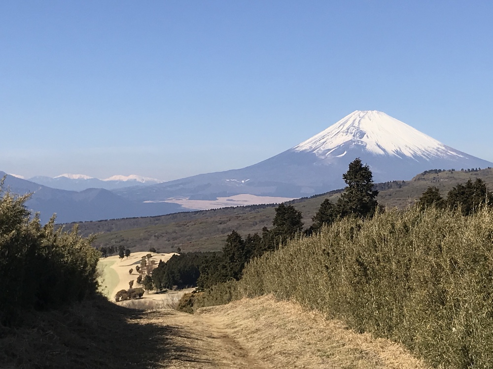 カバー画像