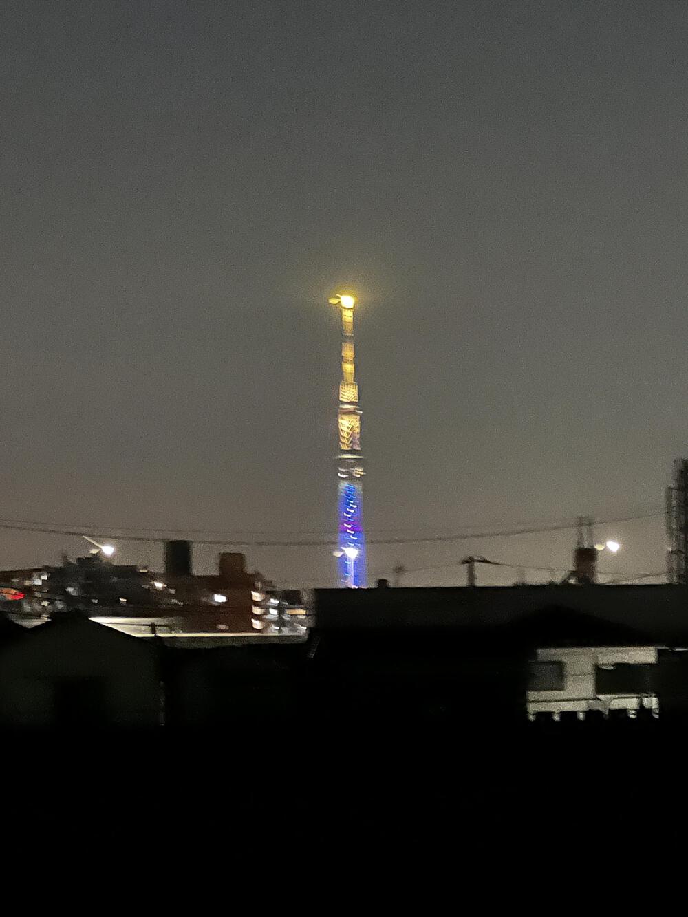カバー画像
