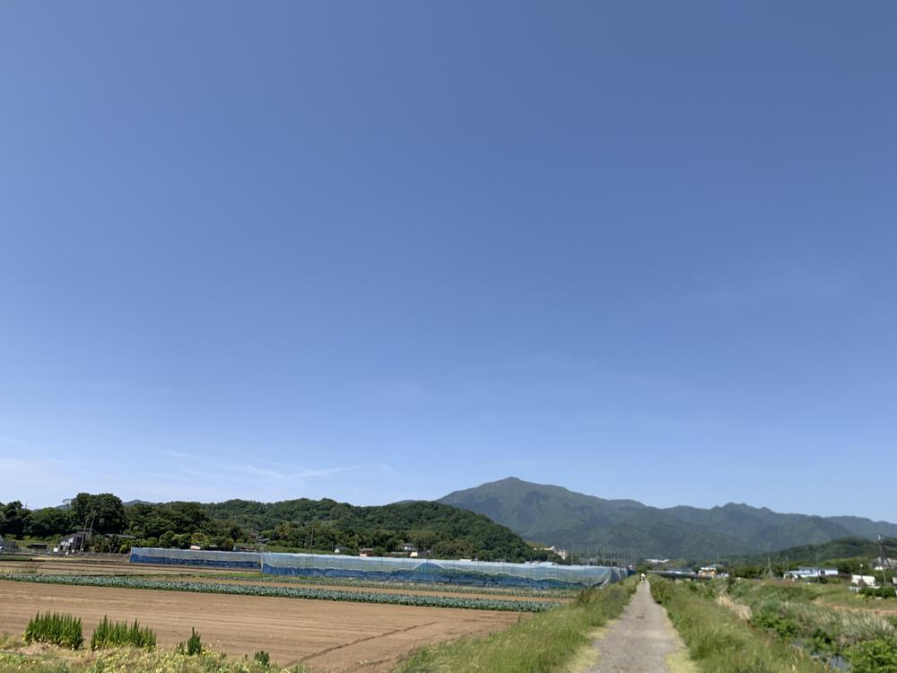 カバー画像