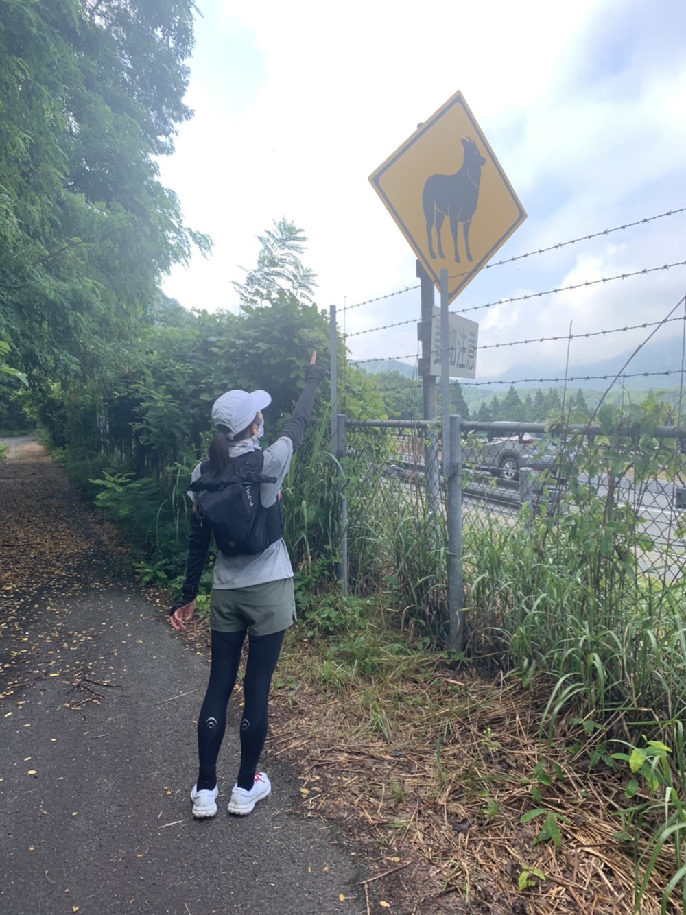 カバー画像