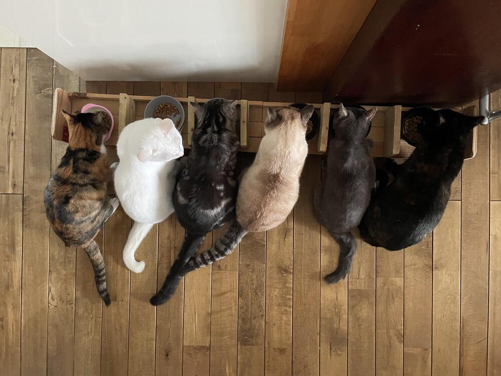 カバー画像