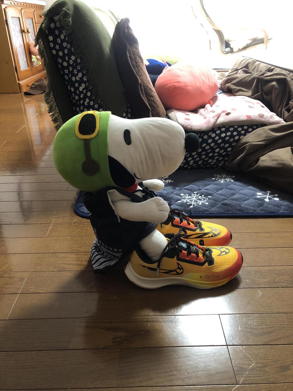 カバー画像