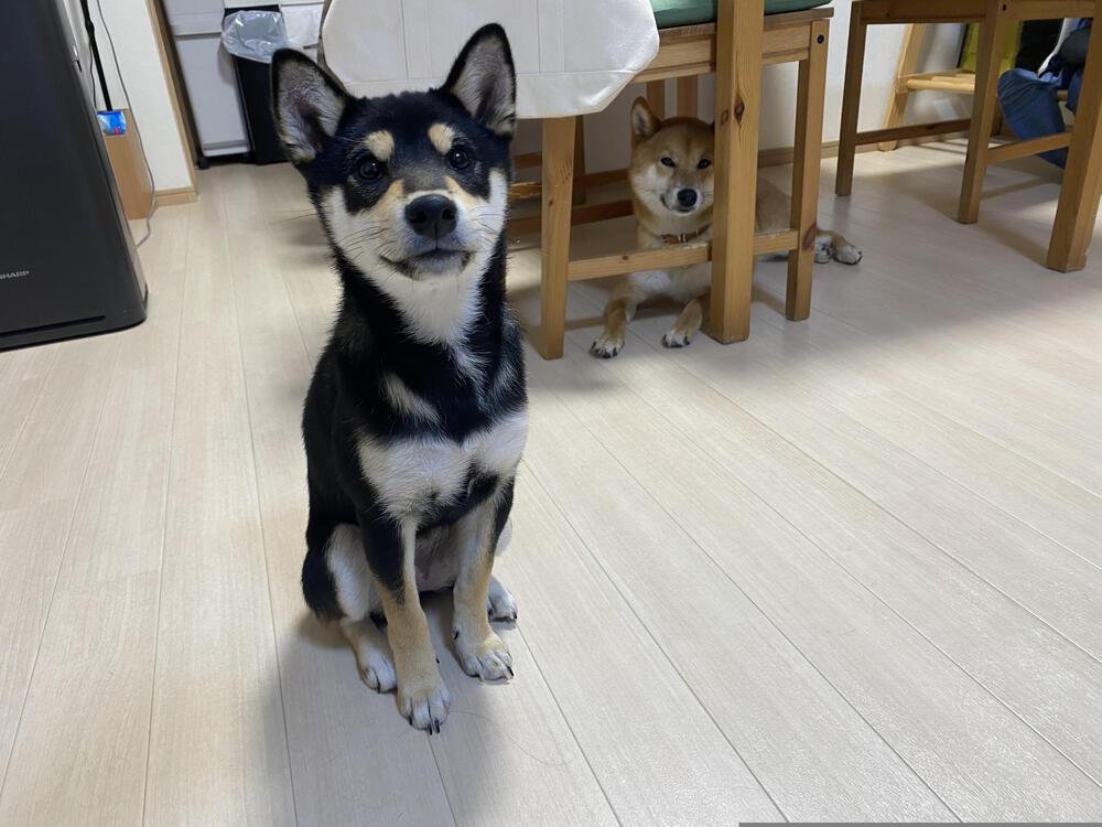 カバー画像