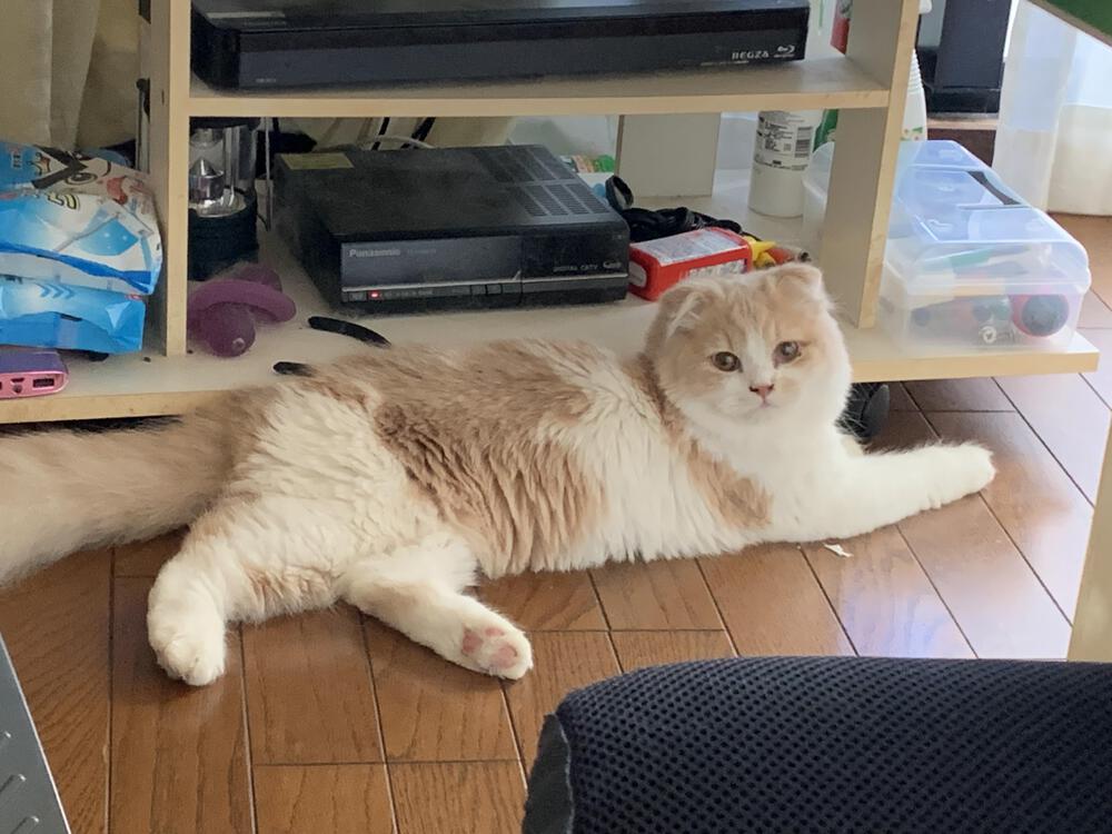 カバー画像
