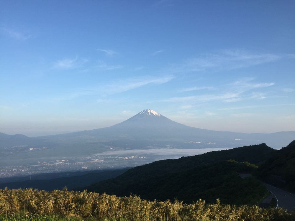 カバー画像