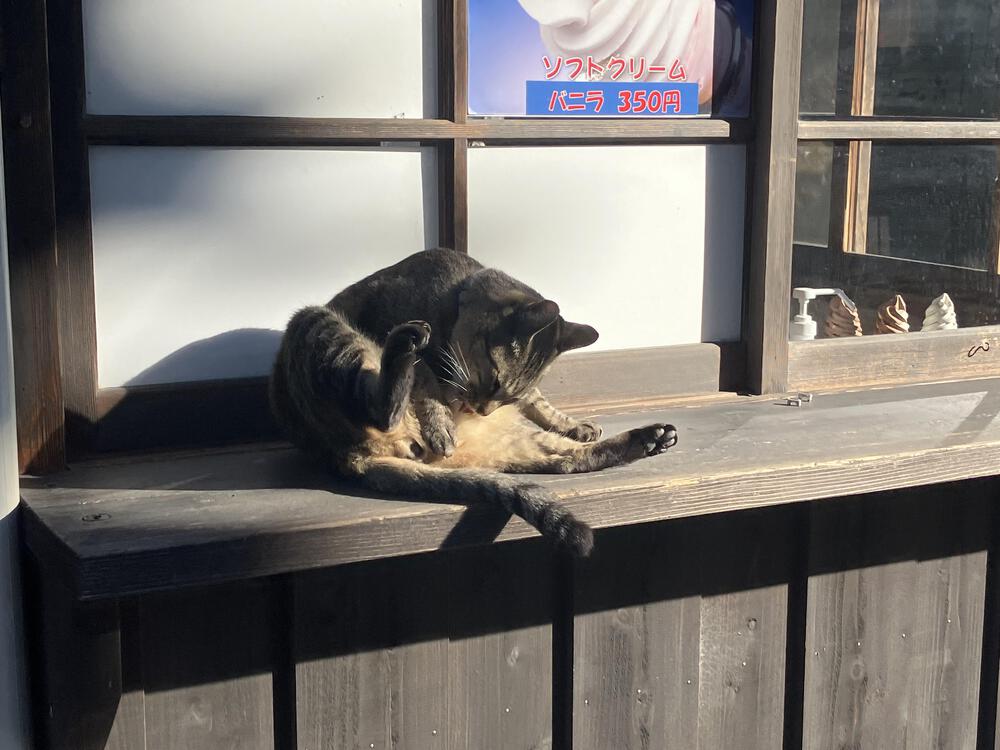 カバー画像