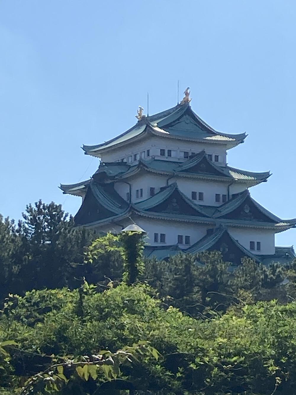 カバー画像