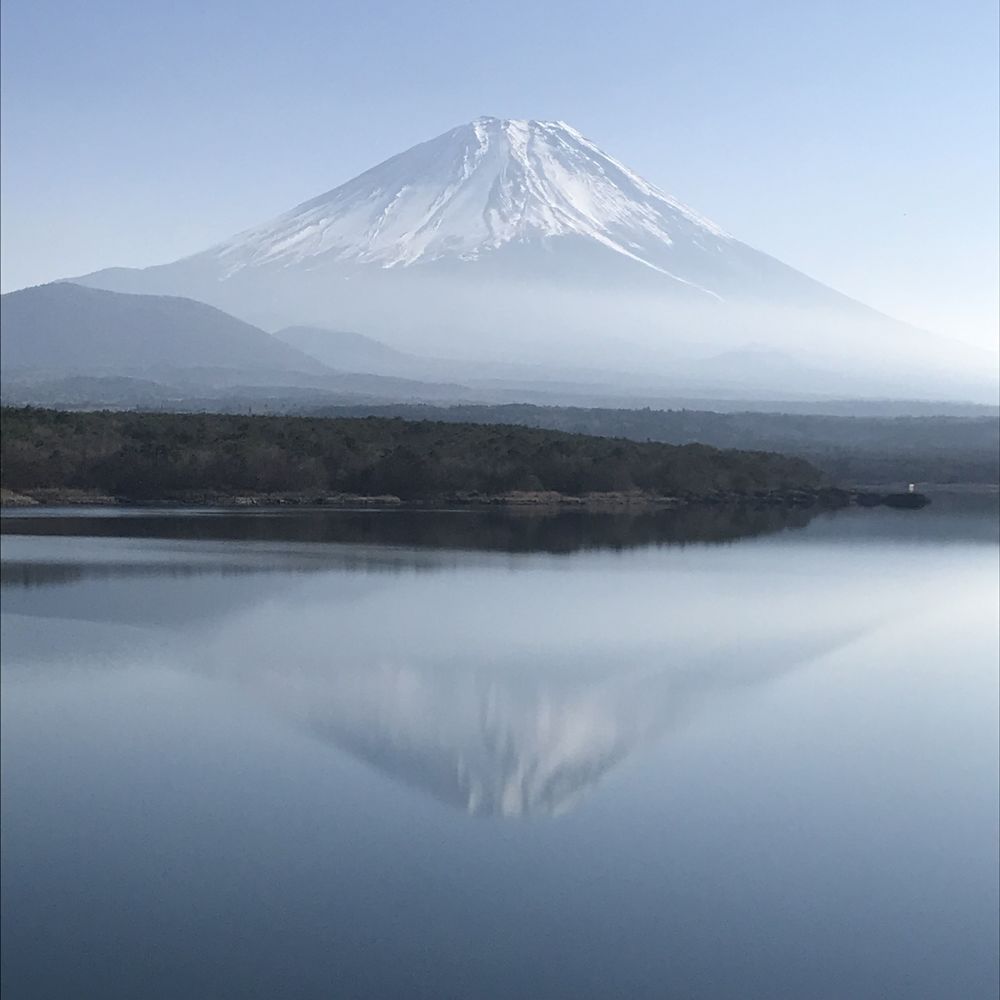 カバー画像