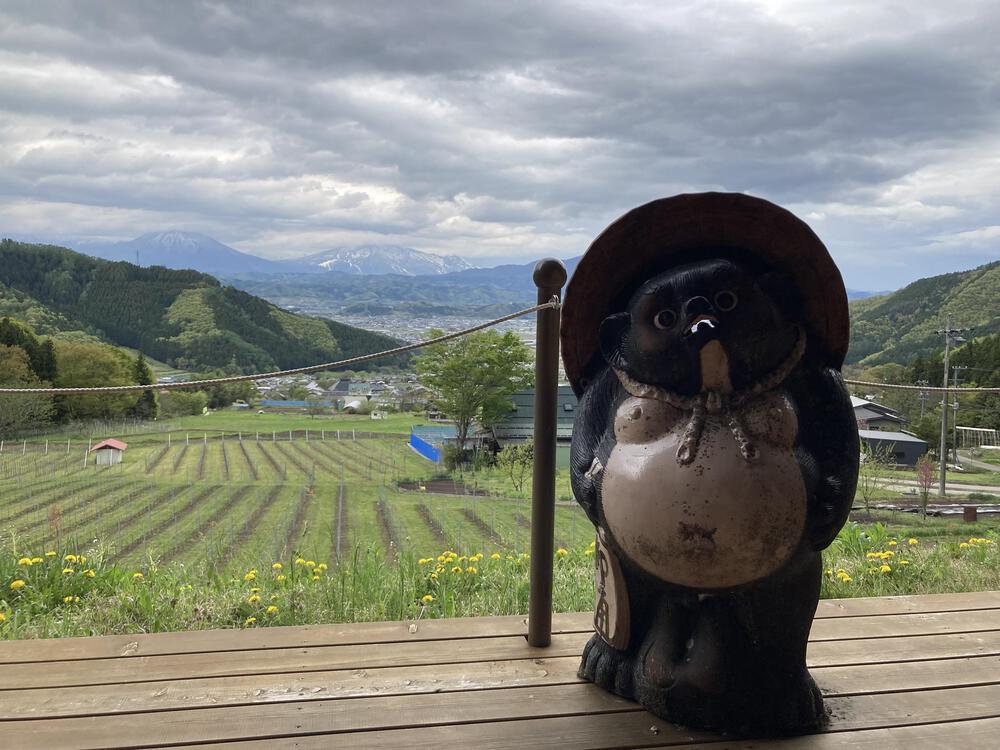 カバー画像