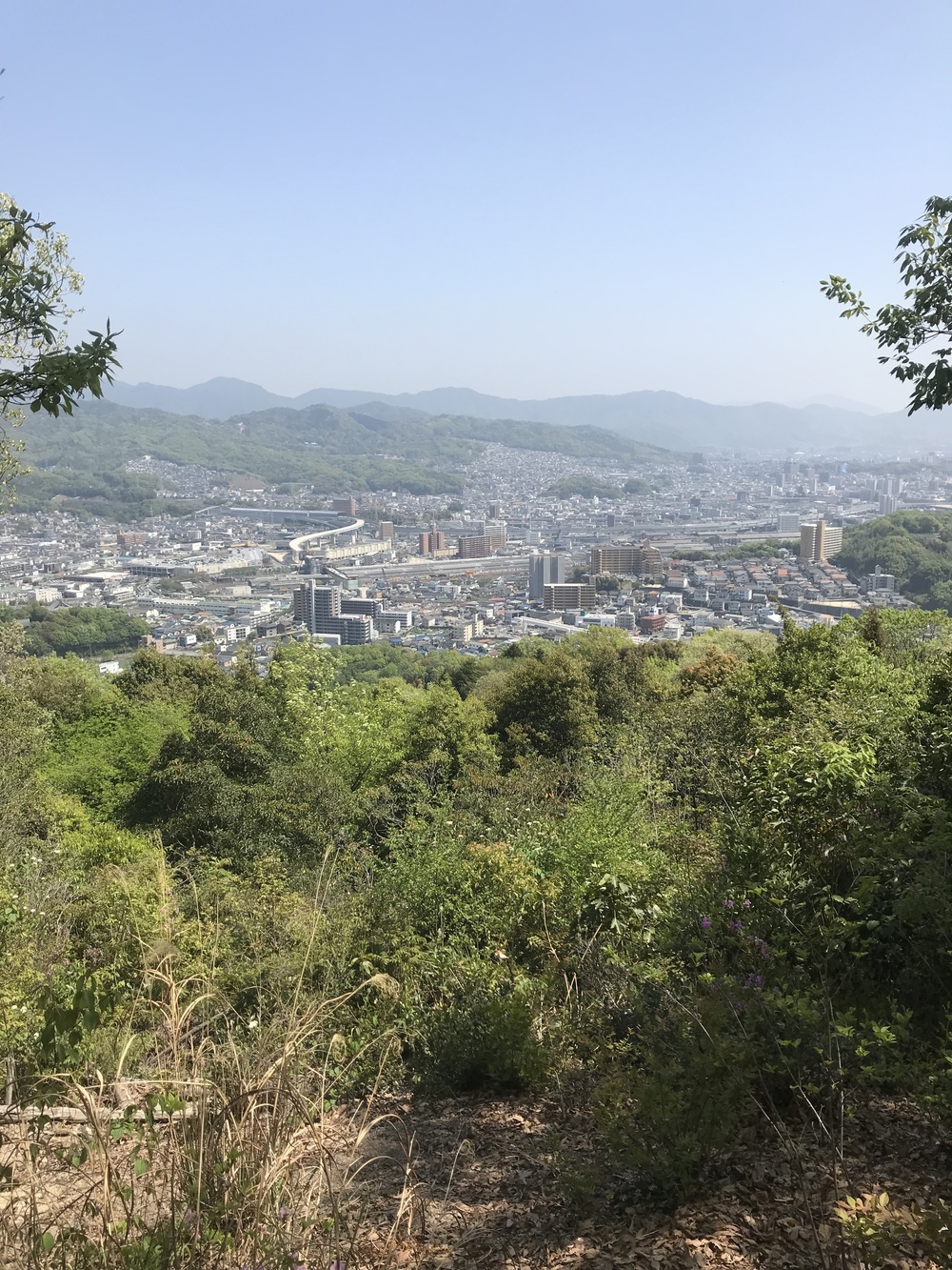 カバー画像