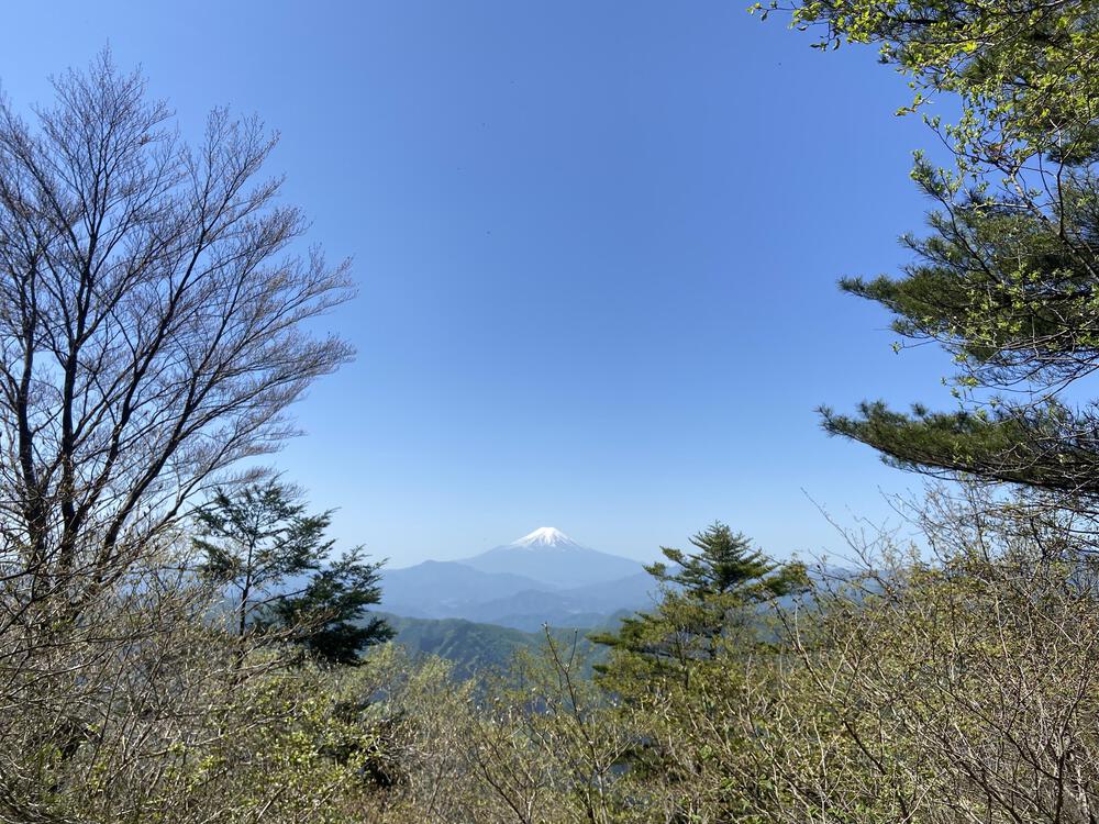 カバー画像