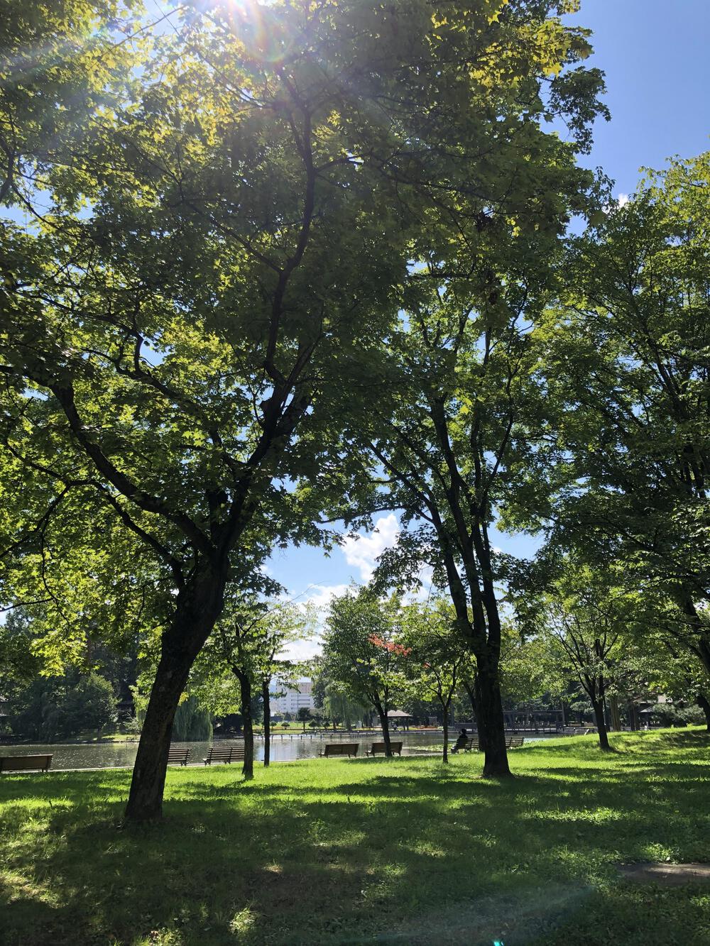 神居古潭　ランダムです。 旭川市神居古潭【カムイコタン】ランニングコース | ラントリップ