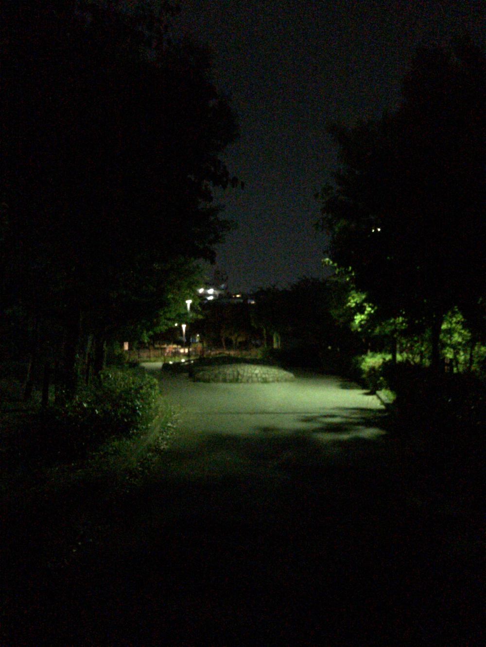カバー画像