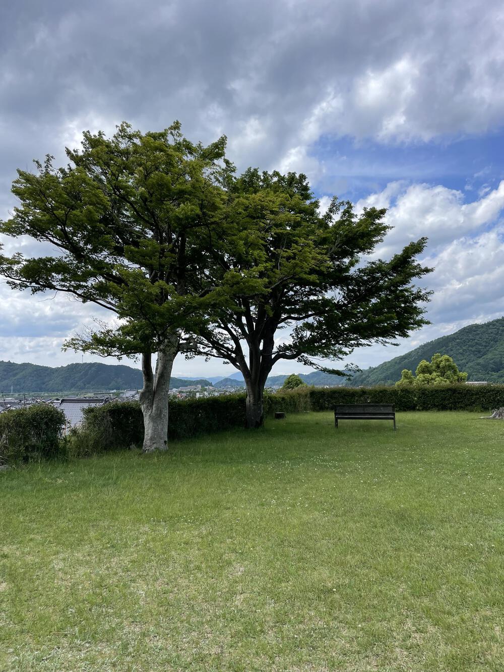 カバー画像