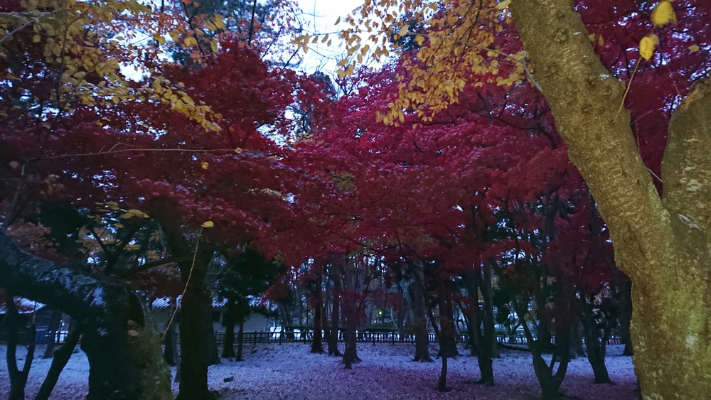 カバー画像