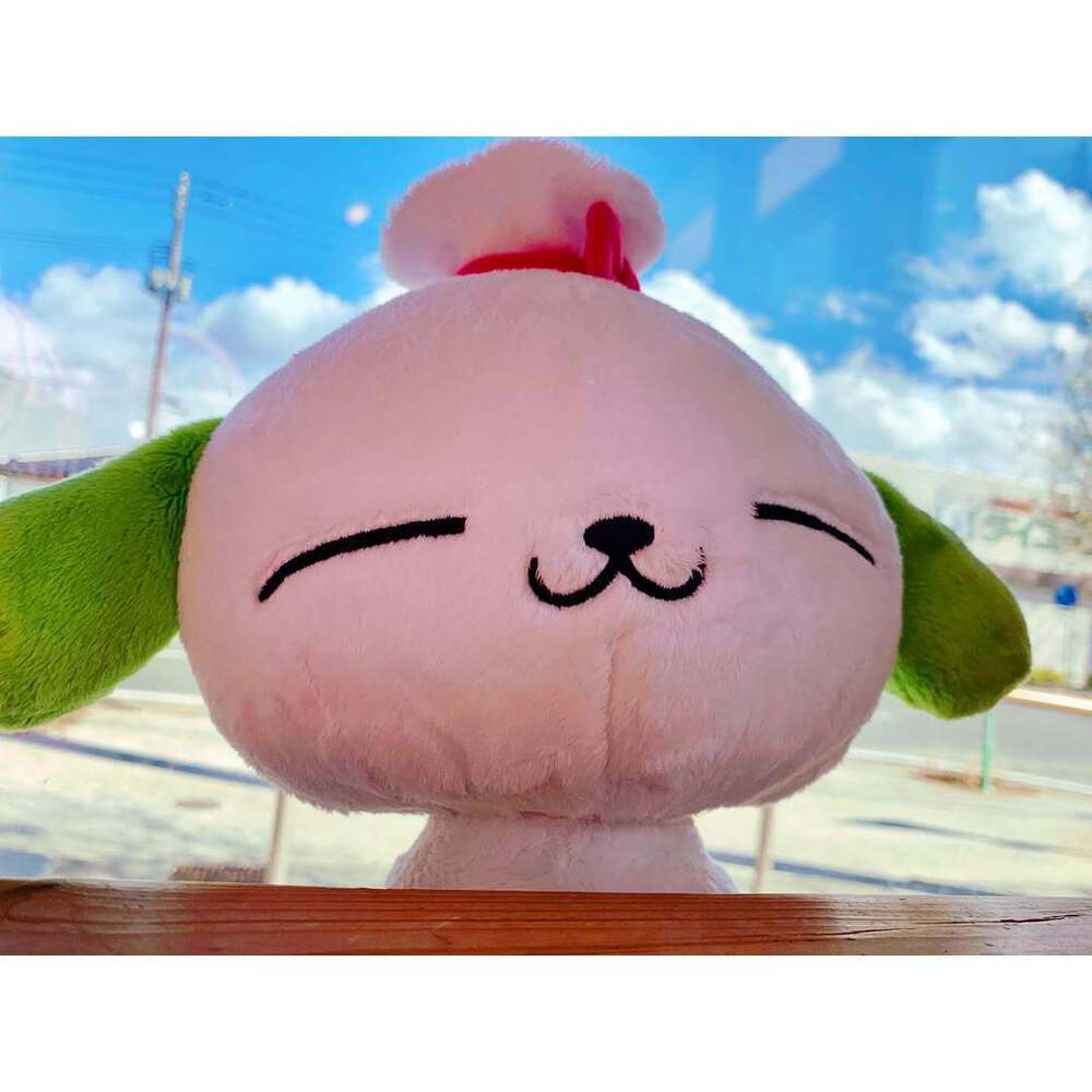 カバー画像