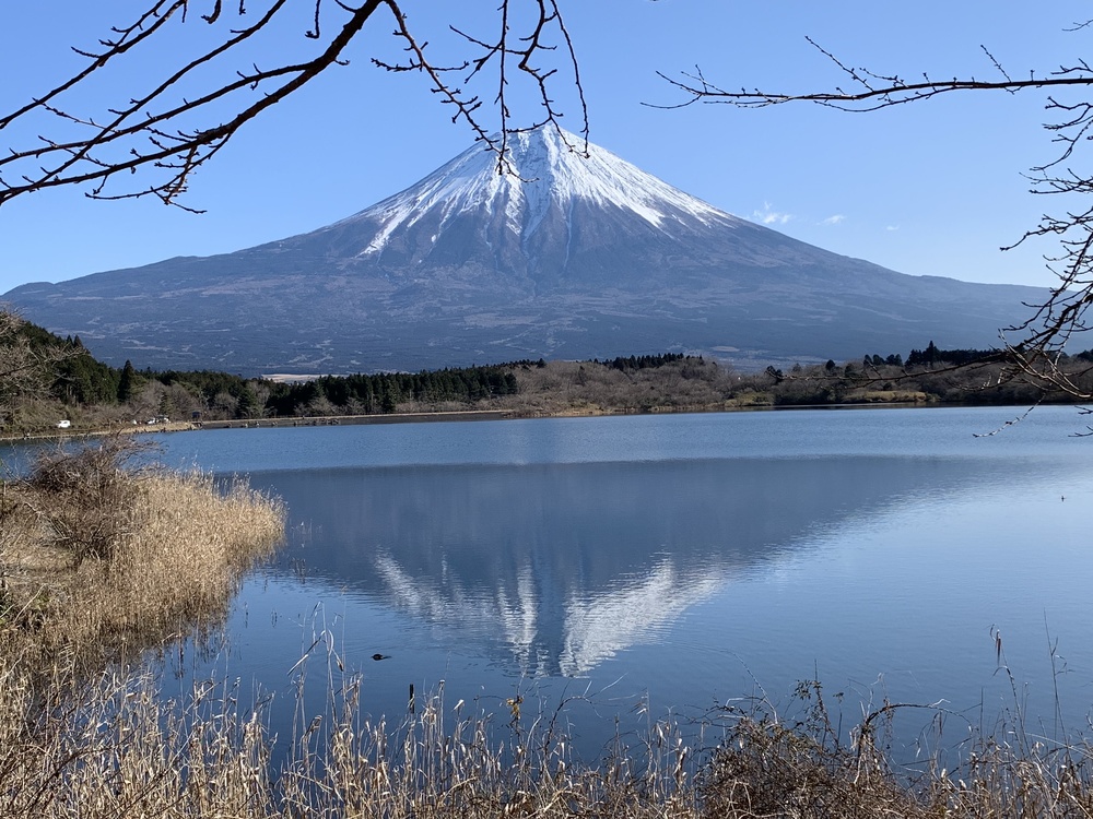 カバー画像