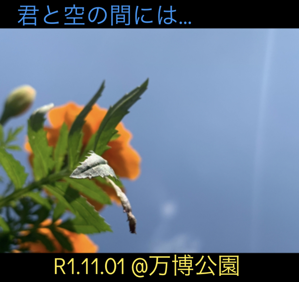 カバー画像