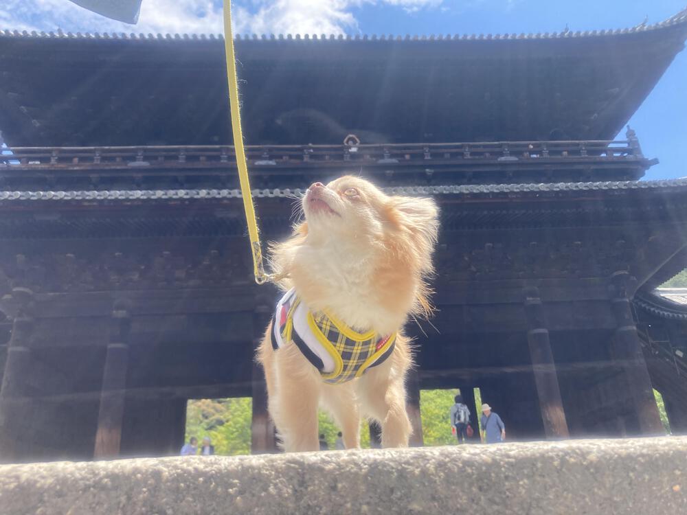 カバー画像