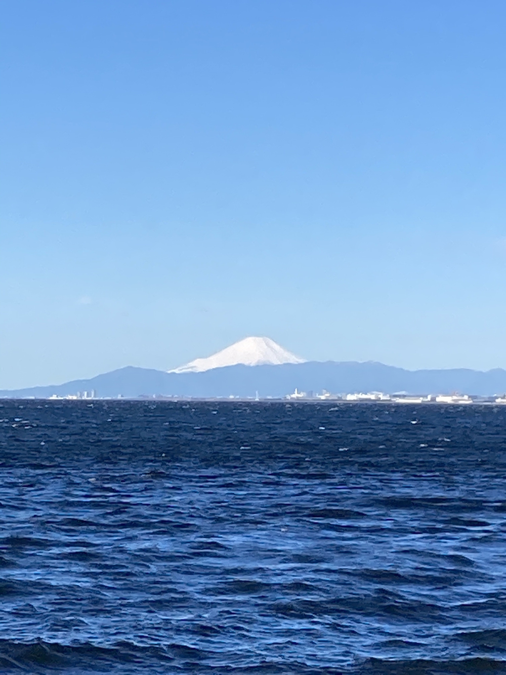 カバー画像
