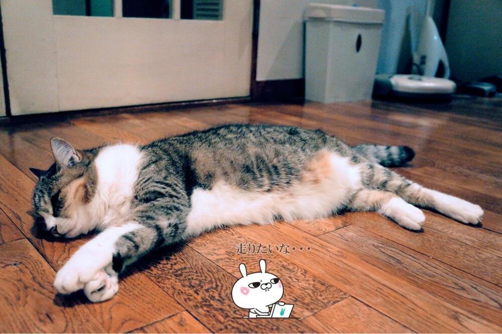 カバー画像