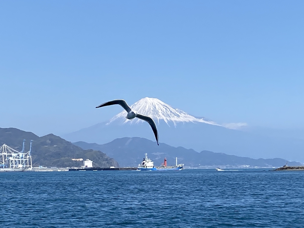カバー画像