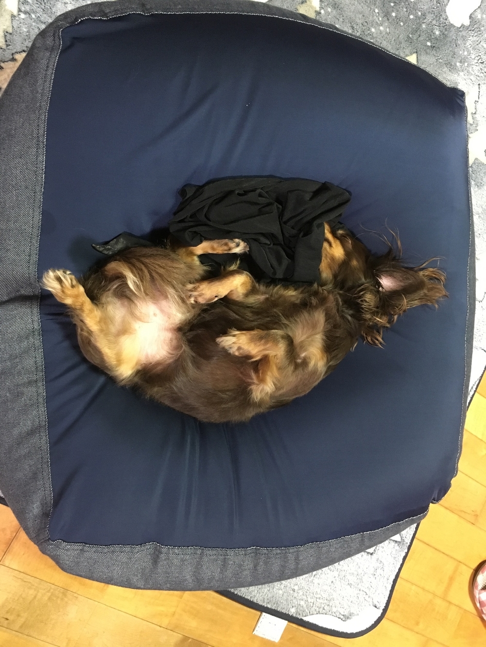 カバー画像
