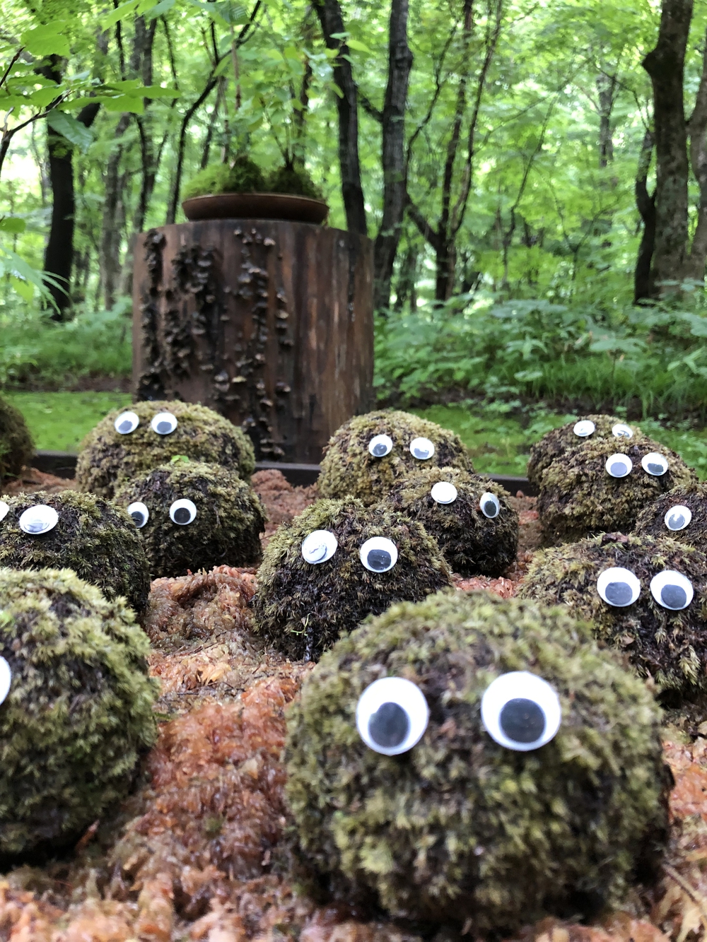 カバー画像