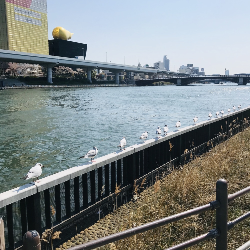 カバー画像