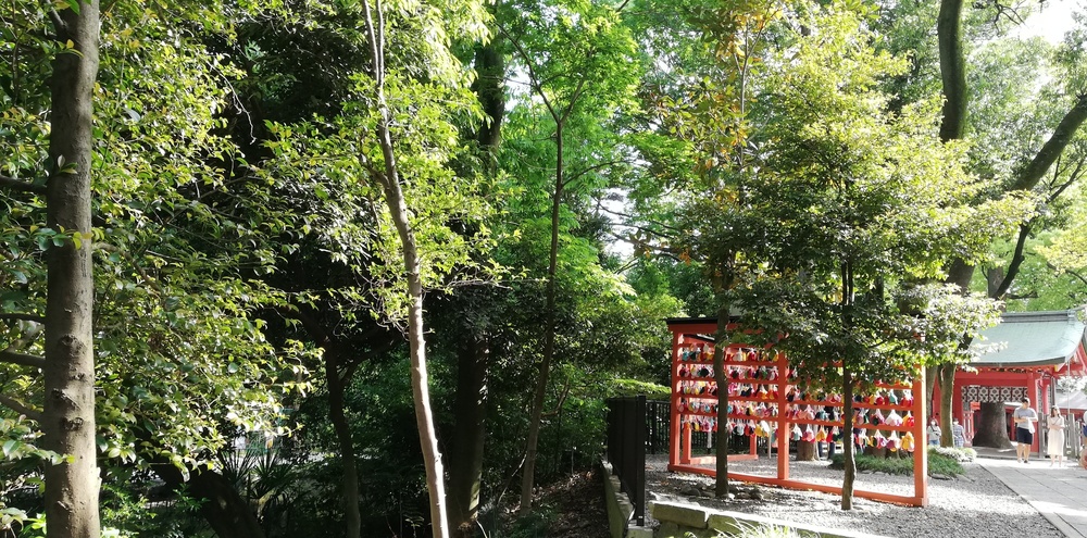 Sun　ゆっくりペース×語学×睡眠