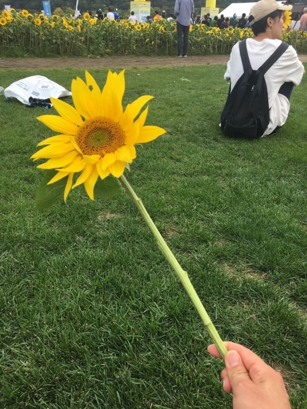 プロフィール画像