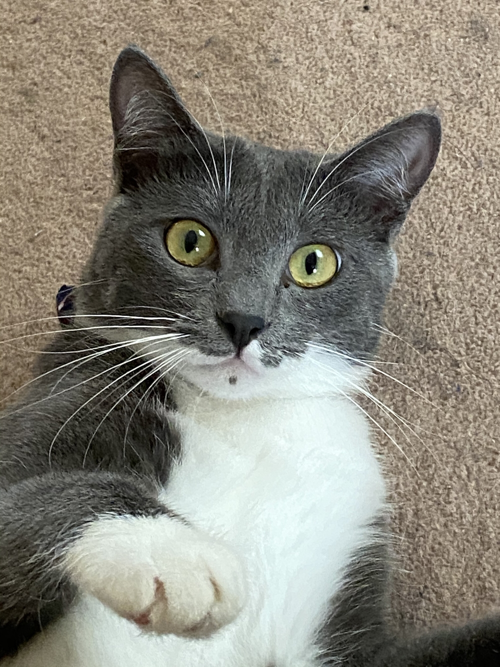 プロフィール画像