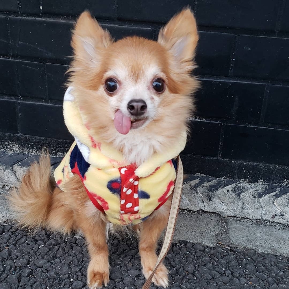 プロフィール画像