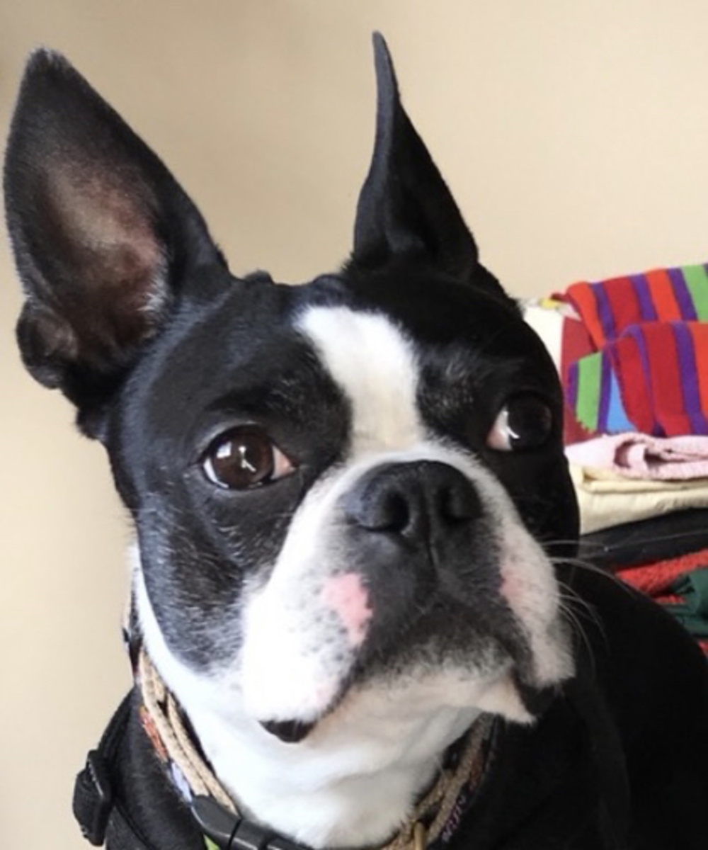 プロフィール画像