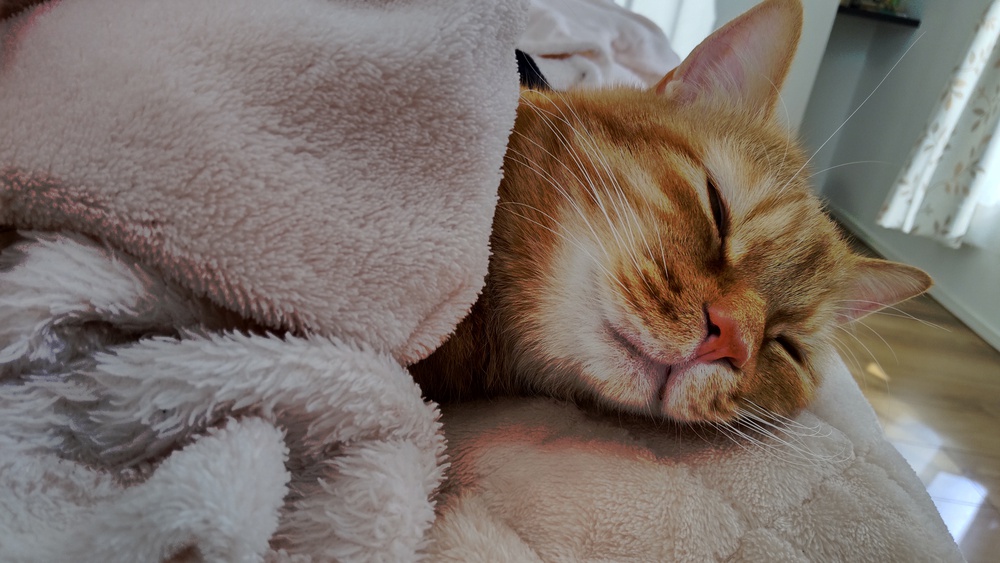 あちゃし(atsushi)