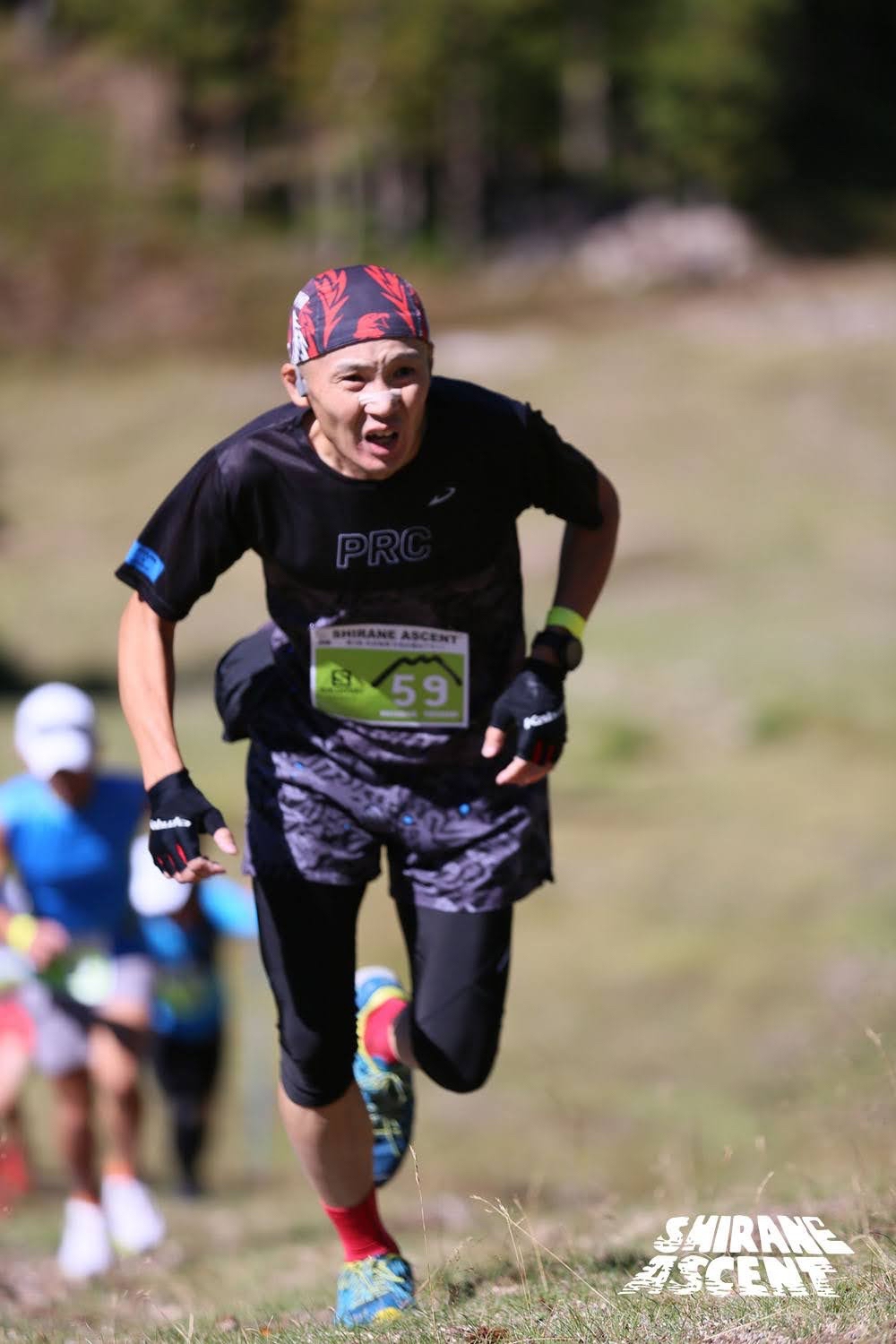 プロフィール画像