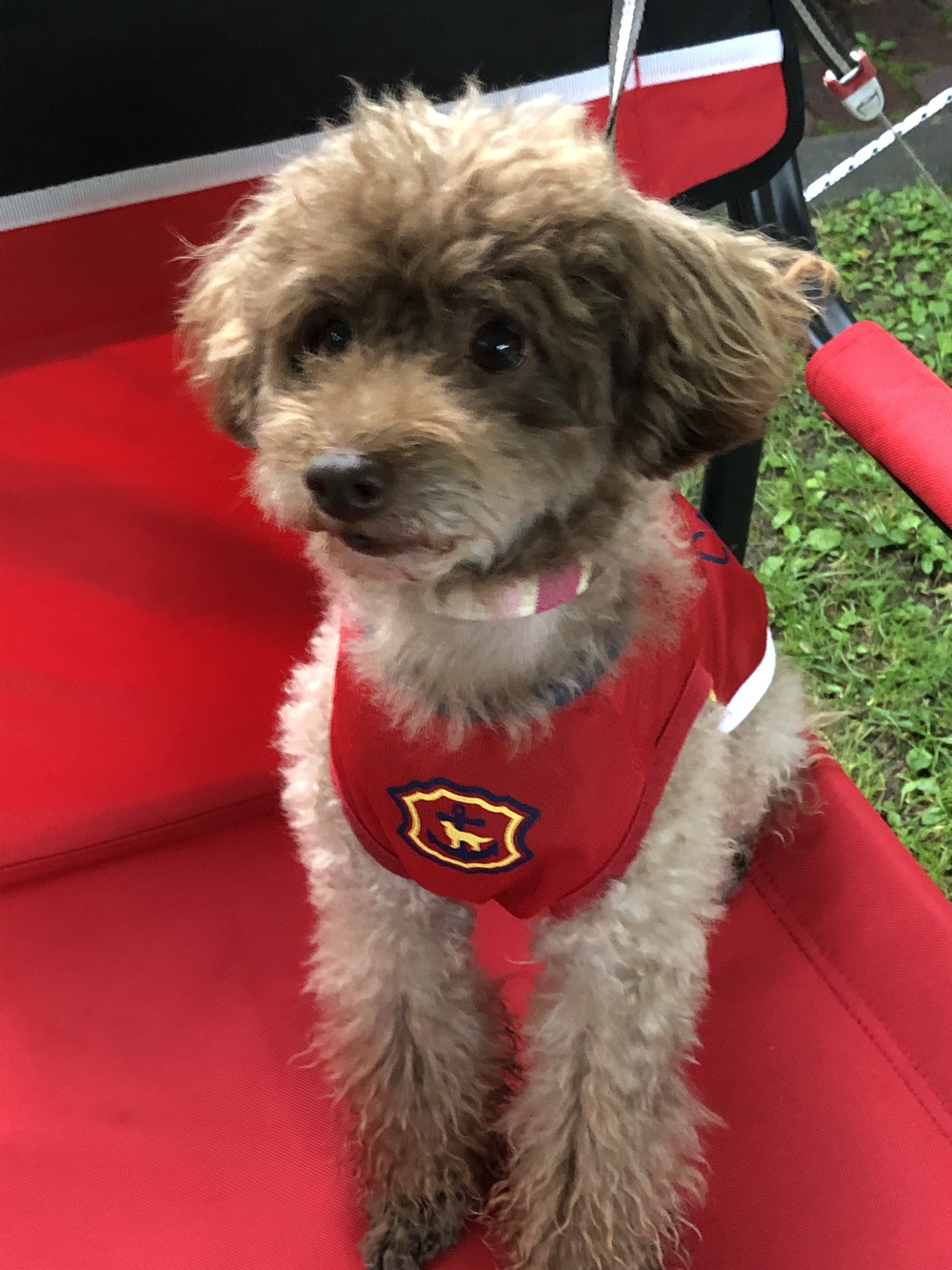 プロフィール画像