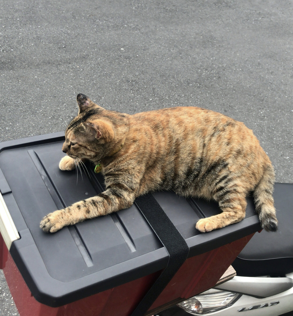 プロフィール画像