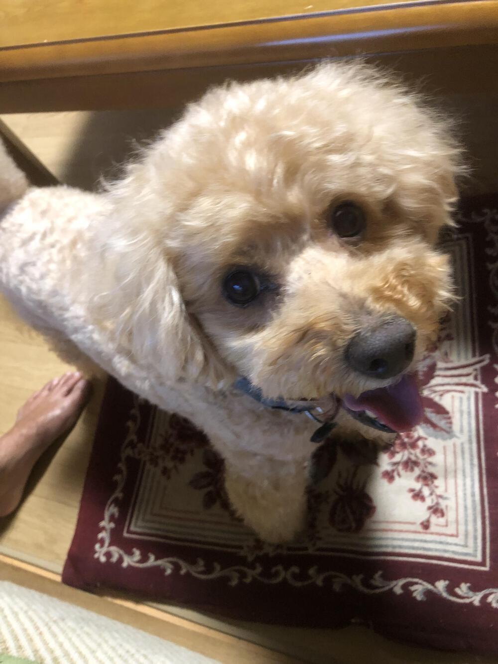 プロフィール画像