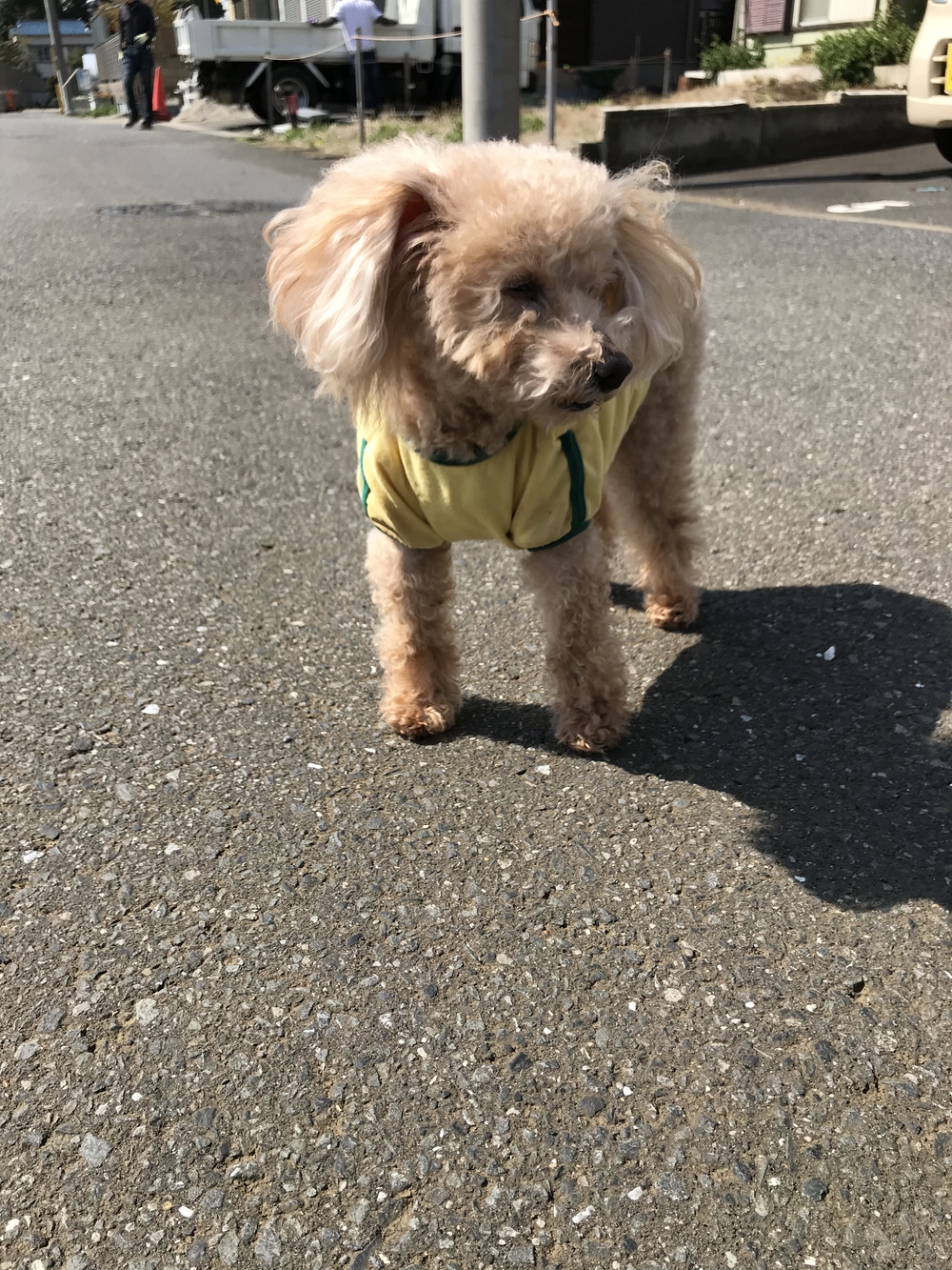 プロフィール画像