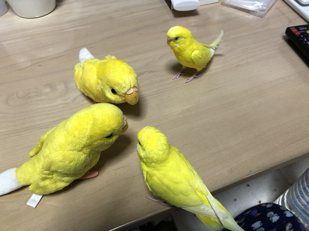 プロフィール画像