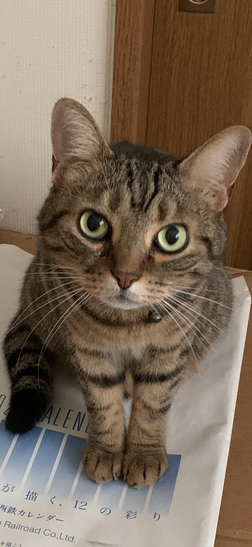 プロフィール画像