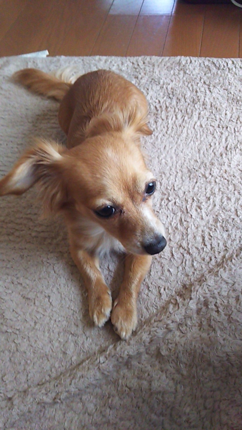 プロフィール画像