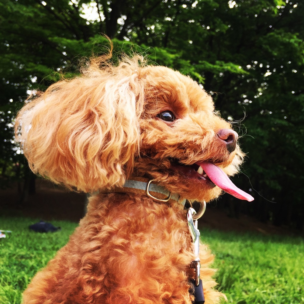 プロフィール画像