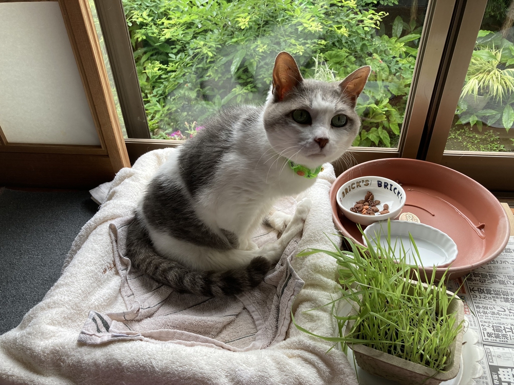 プロフィール画像