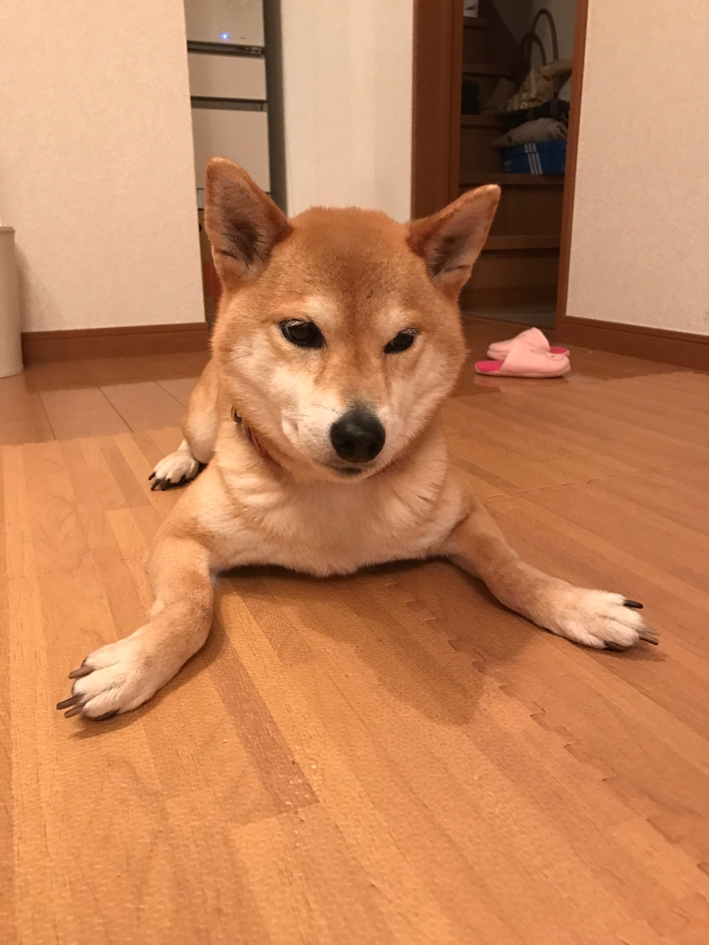 プロフィール画像