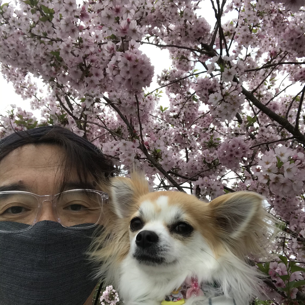 プロフィール画像